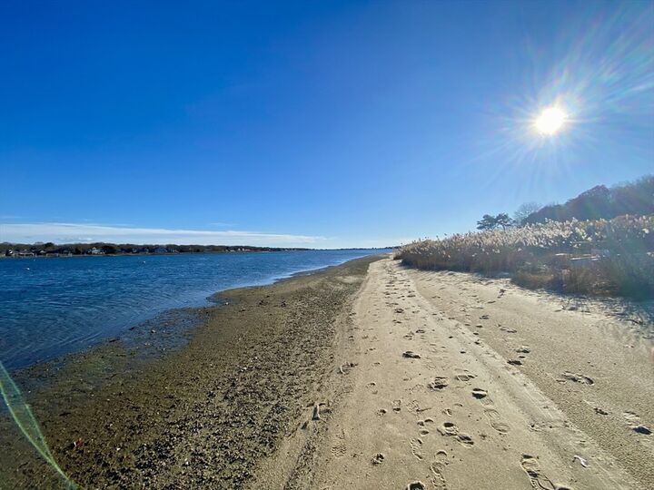 Property Photo:  20 Swallow St  MA 02540 