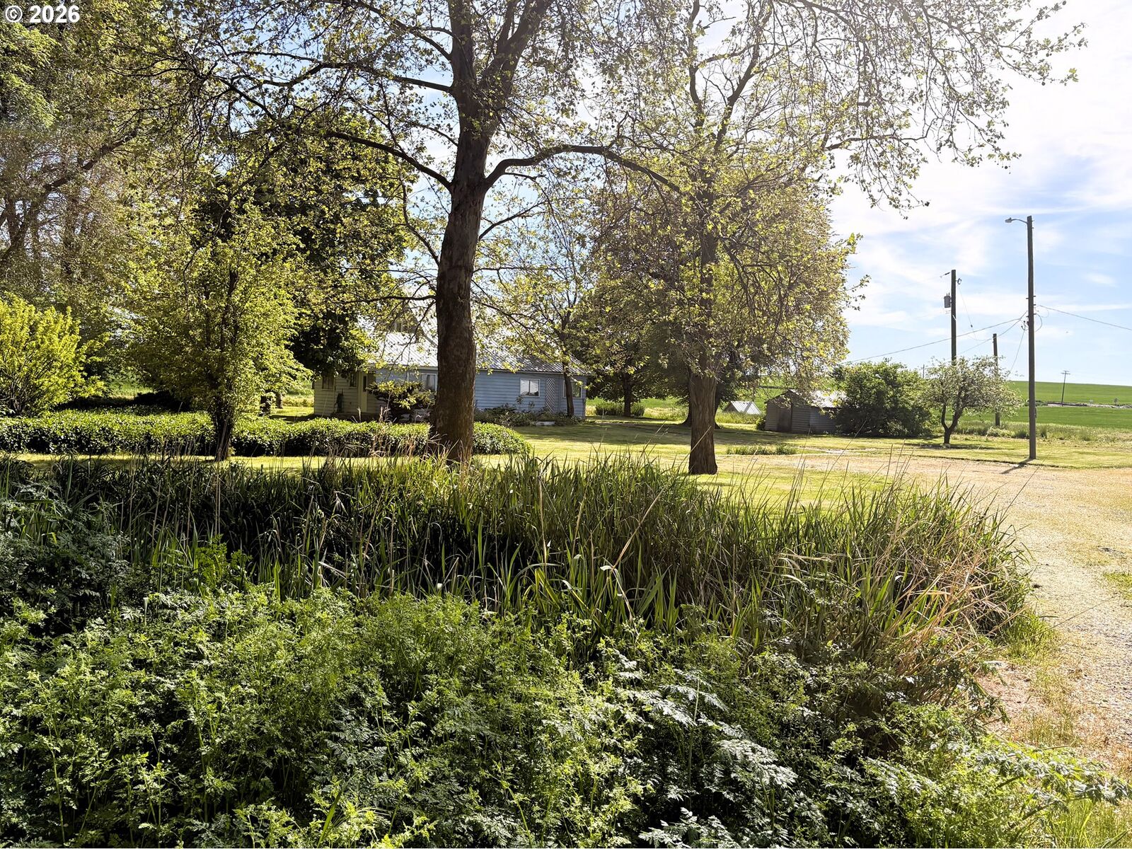 Property Photo:  75938 Spring Hollow Rd  OR 97810 