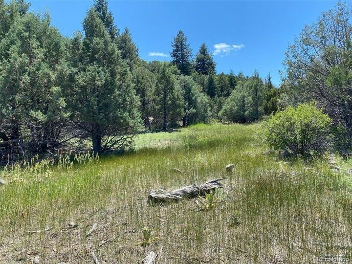 Property Photo:  779 County Road 48  CO 81233 