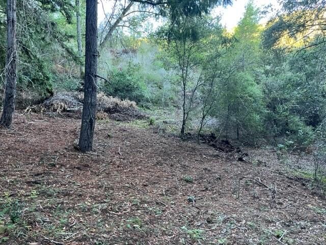 Property Photo:  0 Redwood Retreat Road  CA 95020 