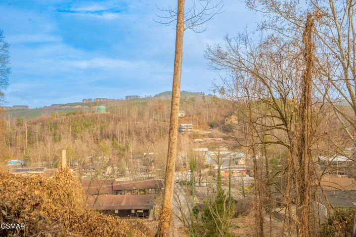 Property Photo: 230 Silverbell Lane TN 37738