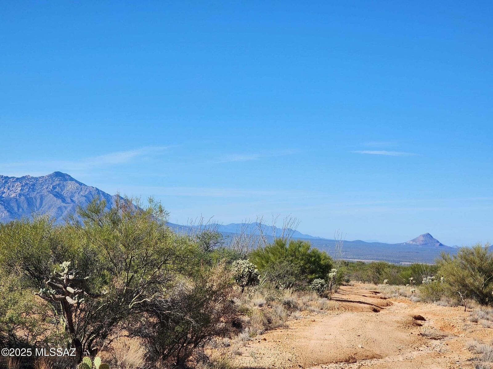 Property Photo:  15801 S Stagecoach Road 383  AZ 85736 