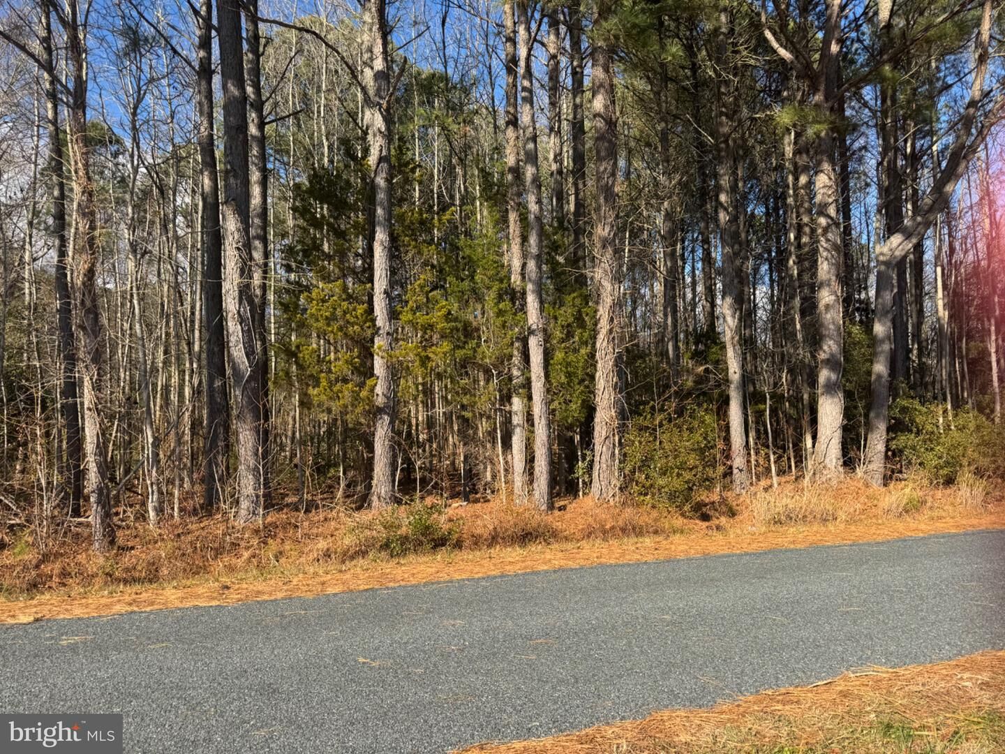 Property Photo: Hickman Lane 338 MD 21840