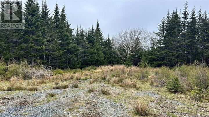 Property Photo:  0 Strayaway Road  NL A0B 1C0 