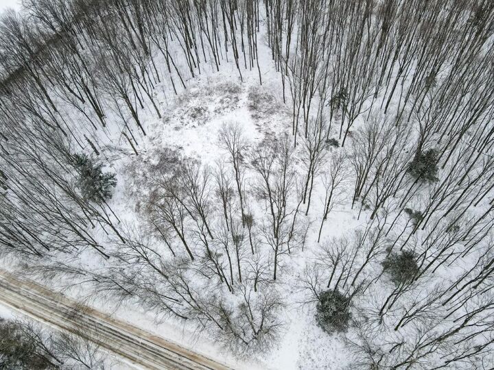 Property Photo: 3.58 Acres Naugart Drive WI 54452