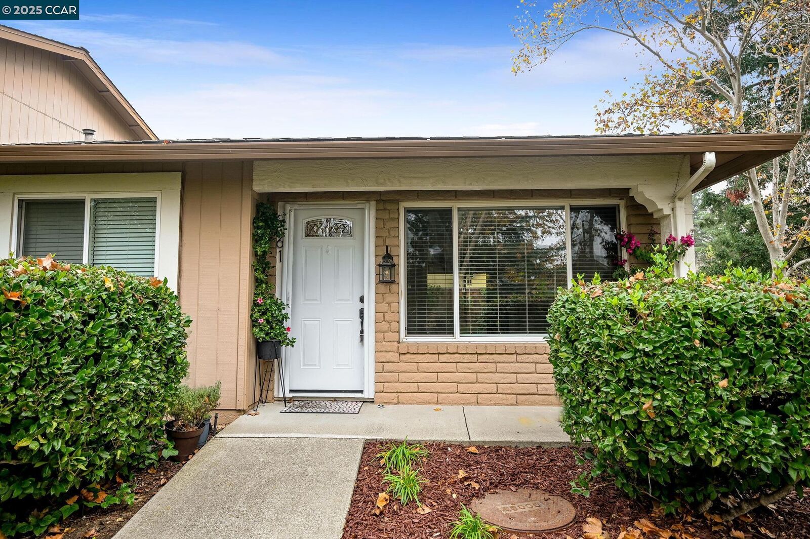 Property Photo:  61 Fountainhead Ct  CA 94553 