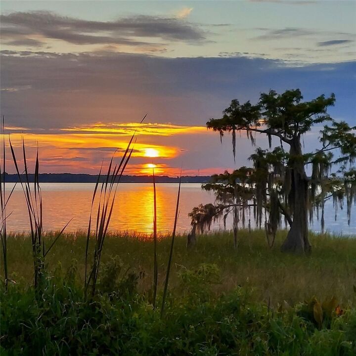 Property Photo:  2225 Cypress Court 2C  FL 32778 