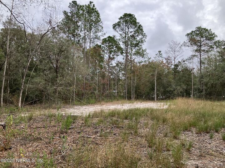Property Photo:  10050 Ebert Avenue  FL 32145 