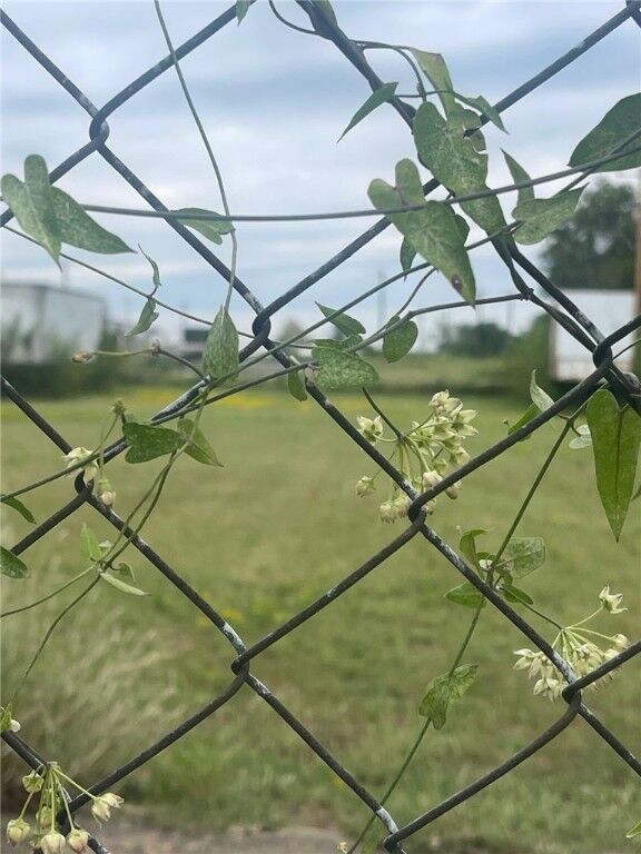 Property Photo: Tbd S K Street AR 72901