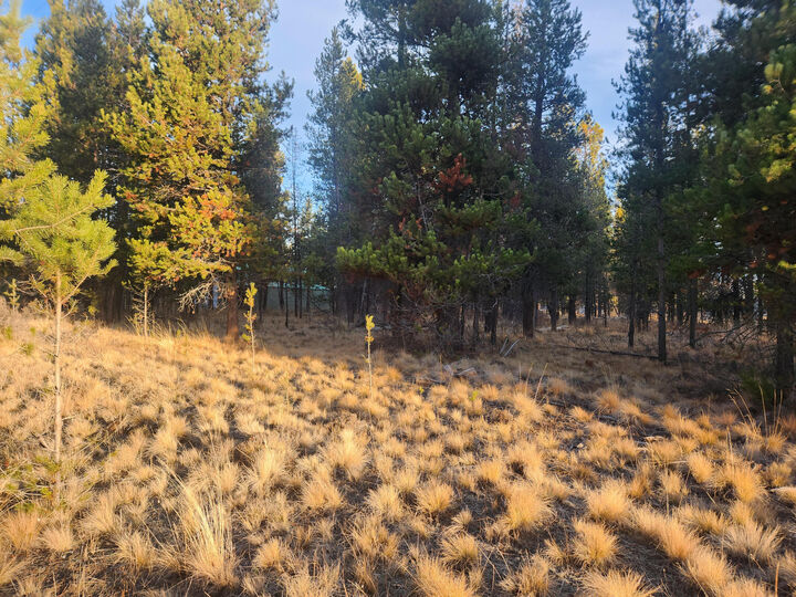 Property Photo: 16824 Brenda Drive OR 97707