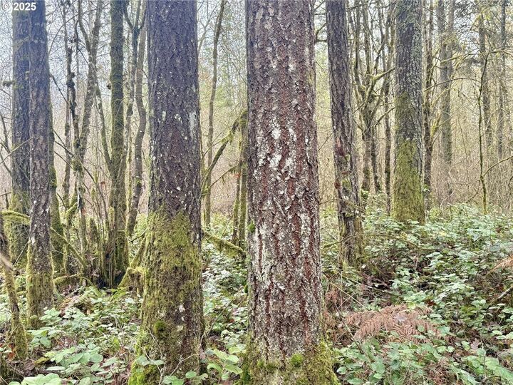Property Photo: 298 Boone Rd WA 98591