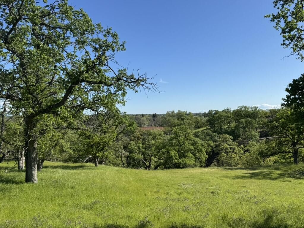 Property Photo: 22545 Rio Robles Drive CA 96080