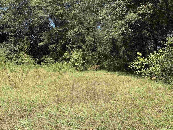 Property Photo:  10 Blue Waters Ct  FL 32305 