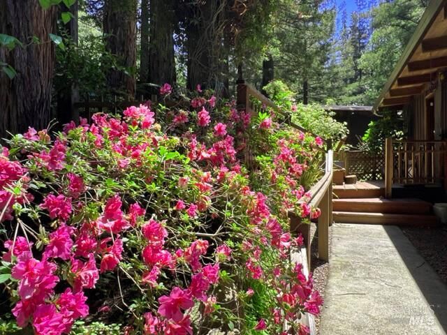 Property Photo: 544 Cascade Drive CA 94941