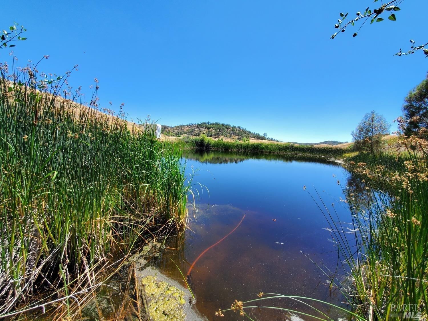 Property Photo:  8770 8860 Rocky Creek Road  CA 95457 