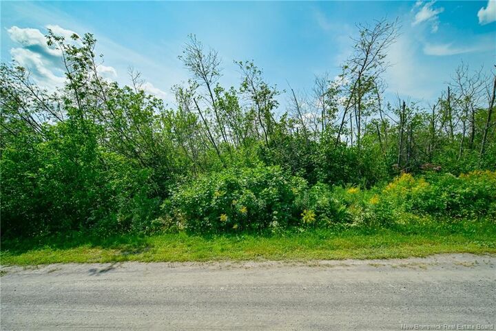 Property Photo:  Lot 2,3 &Amp 4 Cnr Road  NB E7E 1Z4 