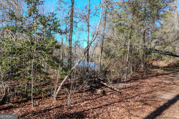 Property Photo: 0 Hamilton Road GA 30813