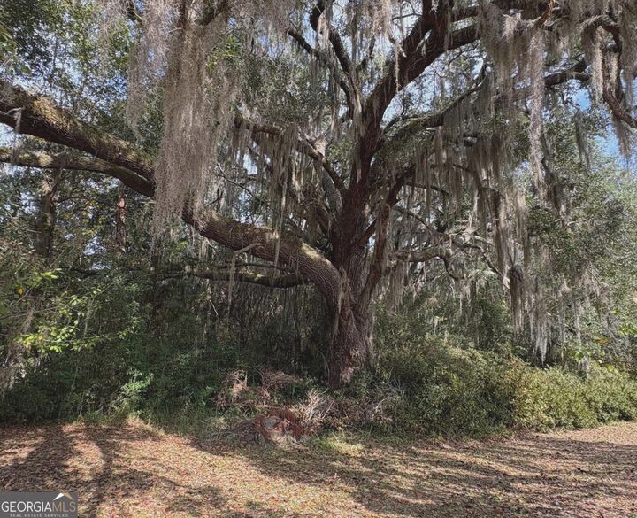 Property Photo:  11817 Ga Highway 99  GA 31305 