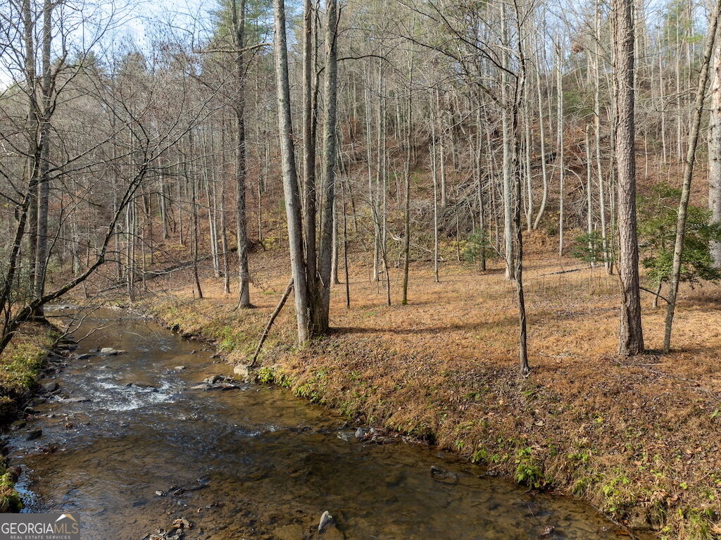 Property Photo: 780 Banks Road GA 30540