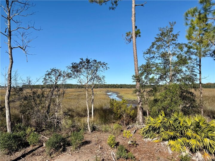 Property Photo:  311 Bateau Drive  GA 31558 