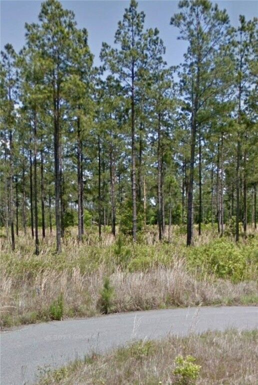 Property Photo:  112 Eagles Crest Drive  GA 31566 