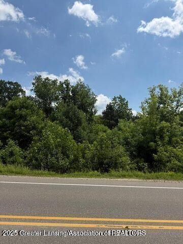 Property Photo:  0 Eager Road  MI 48855 