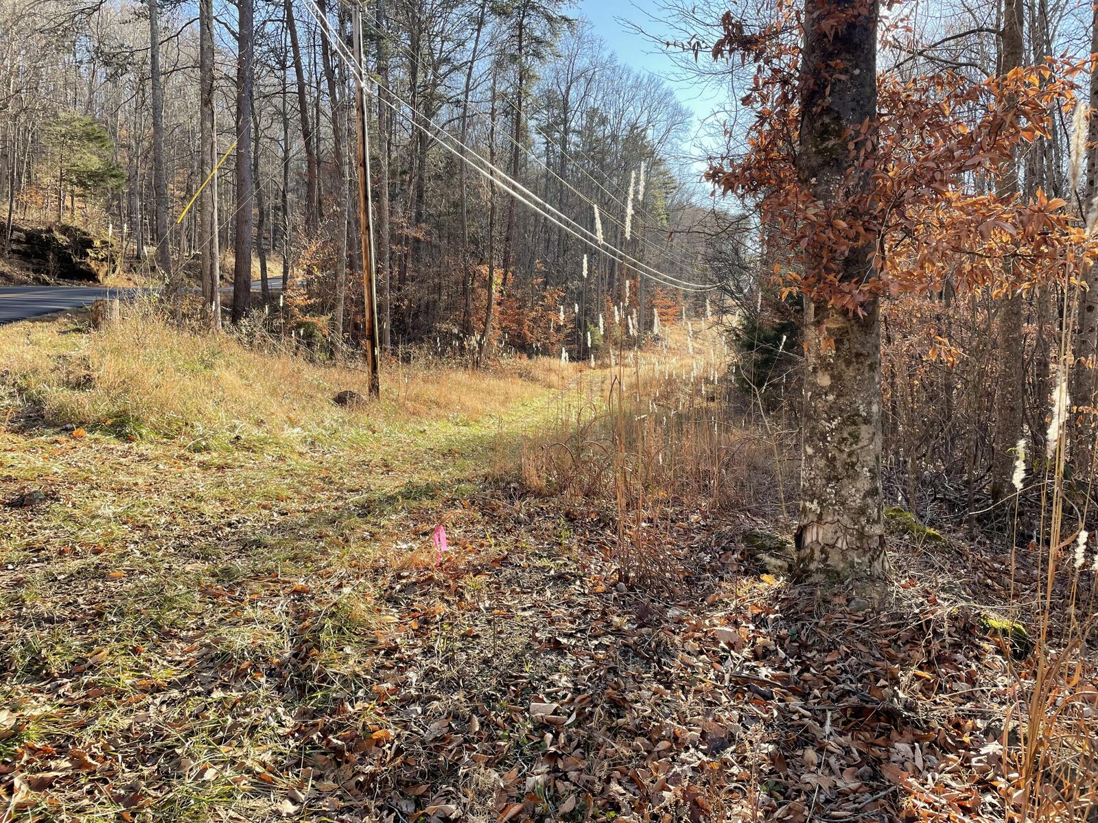 Property Photo:  1901 Dixie Bend Road  KY 42519 