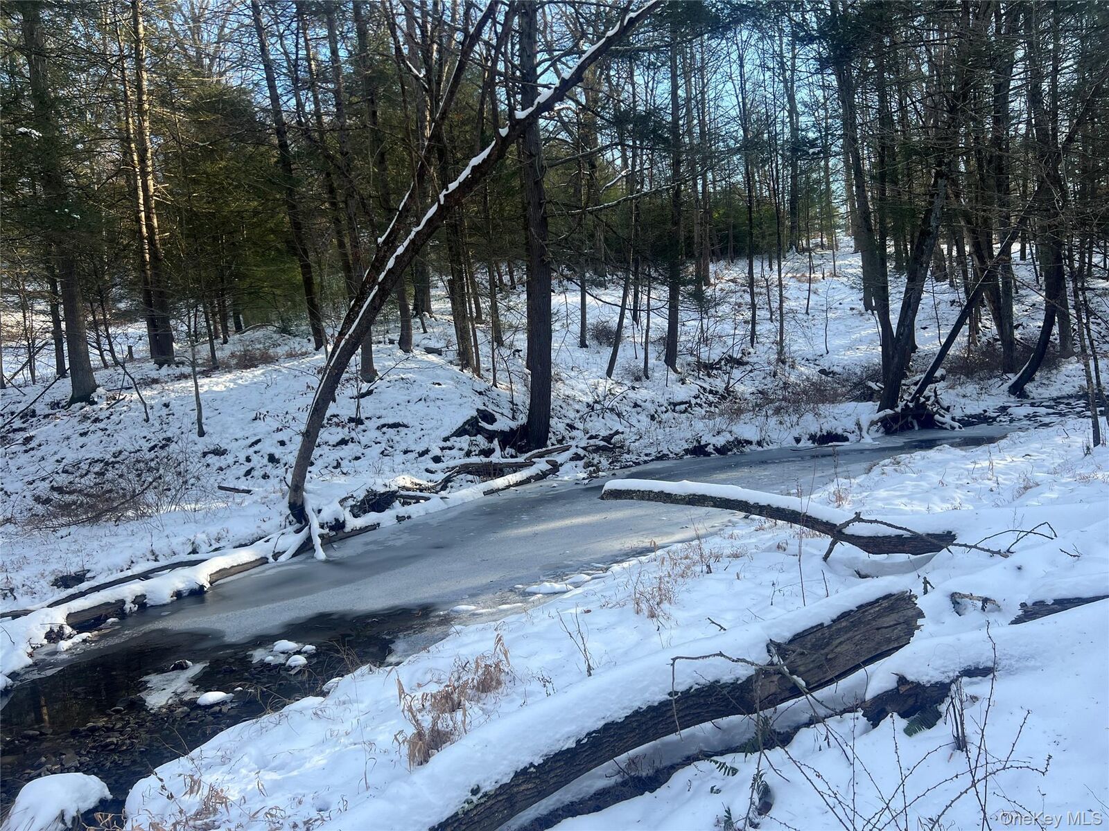 Property Photo:  26 Mossybrook Road  NY 12440 