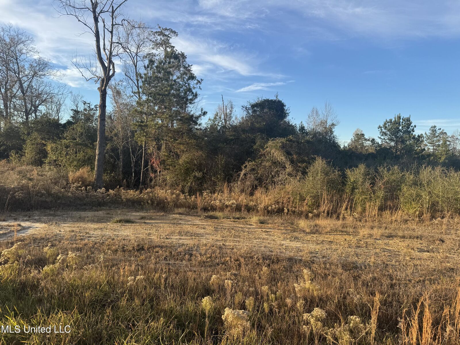 Property Photo:  7 Acres Parker Road  MS 39561 