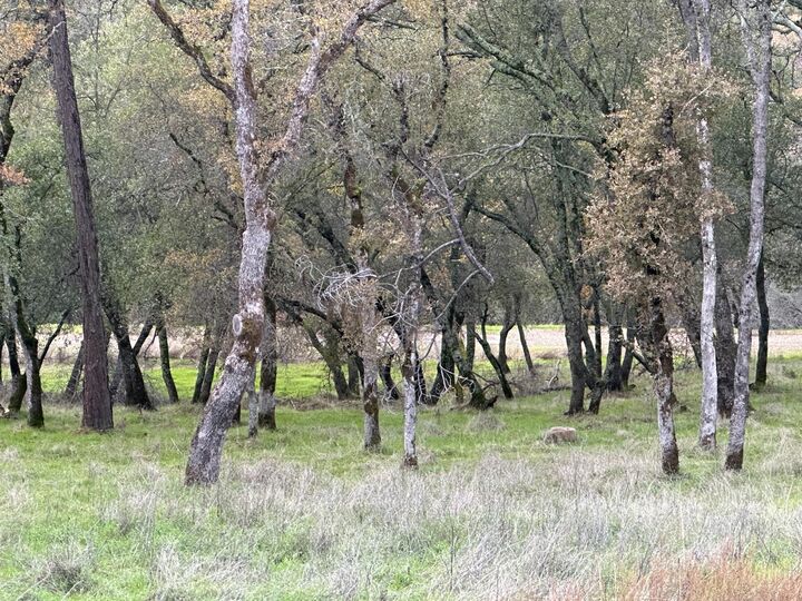 Property Photo:  4095 Raphael Drive  CA 95762 