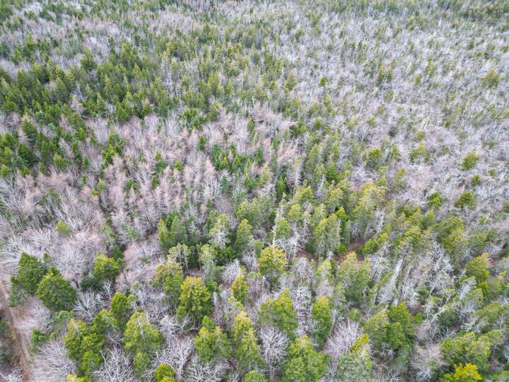 Property Photo:  Lot Highway 101  NS B0W 2J0 