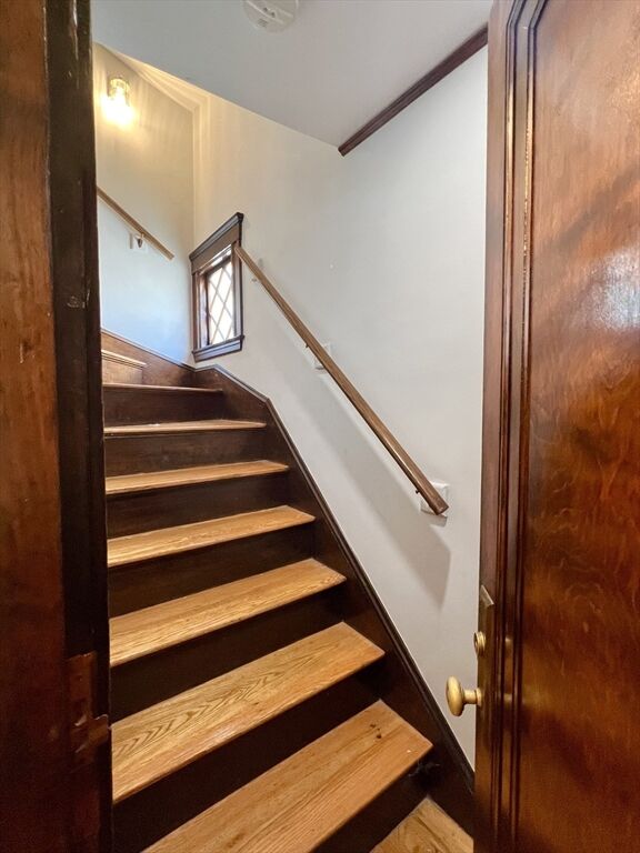 Property Photo:  15 Century Street 2  MA 02155 