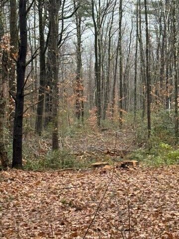 Property Photo:  0 Wendell  Depot Rd  MA 01379 