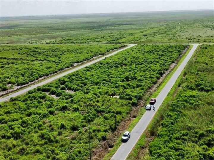 Property Photo: Tbd Acadia LA 70632