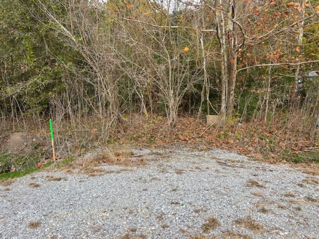 Property Photo: 7828 Mississippi Avenue LA 70646