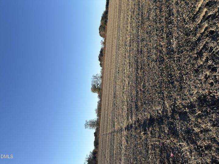 Property Photo: 684 W Nc 55 Highway NC 28365