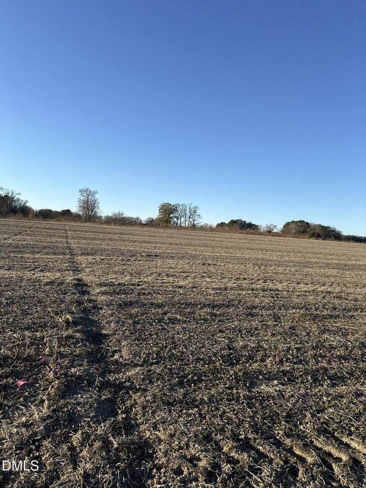 Property Photo:  684 W Nc 55 Highway  NC 28365 