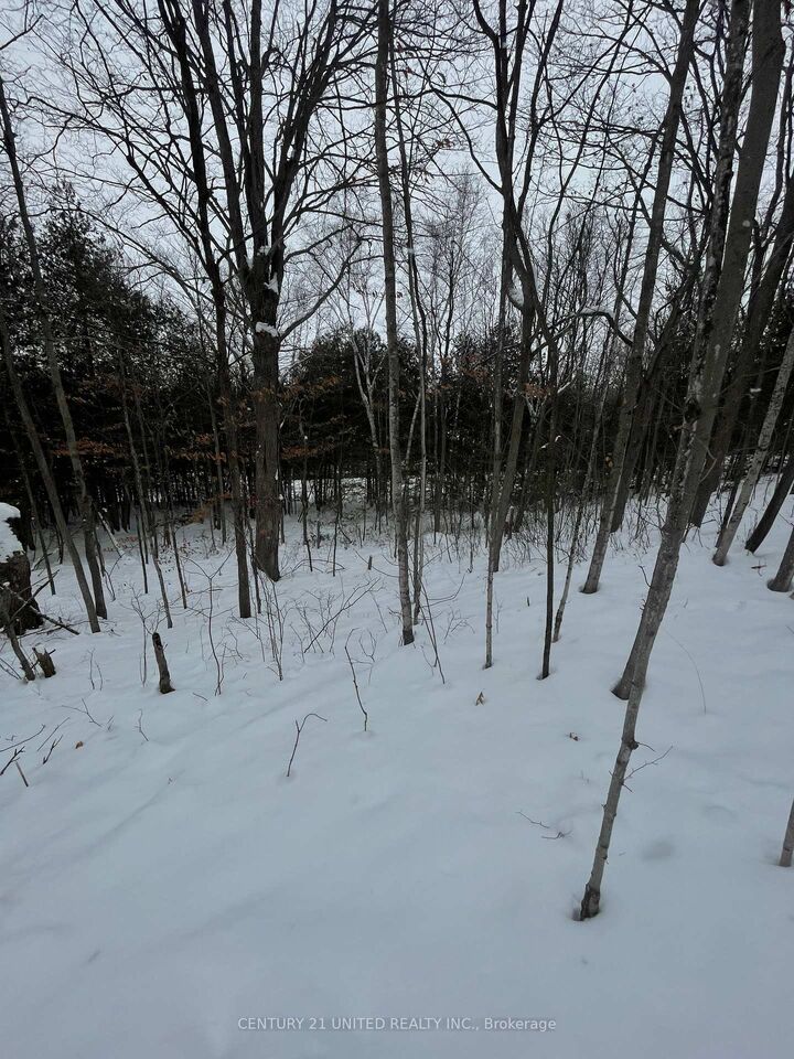 Property Photo:  Ptlt 37 Trent View Drive  ON K0L 1Y0 