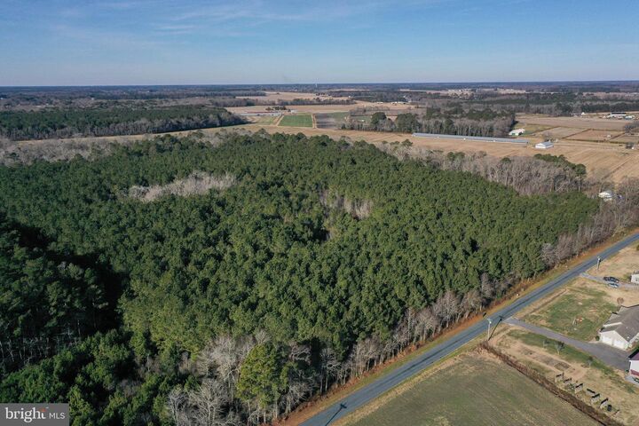 Property Photo:  0 Bent Pine Road  MD 21874 