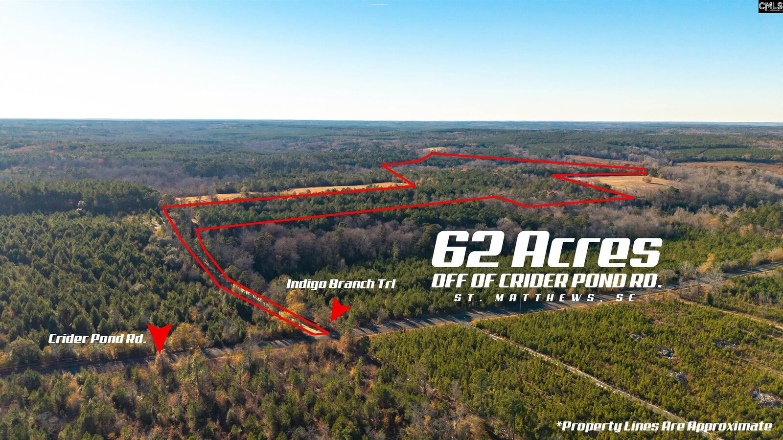 Property Photo: 00 Indigo Branch SC 29135