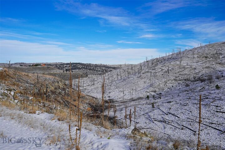 Property Photo: Tbd Lot#222 Coyote Pass MT 59019