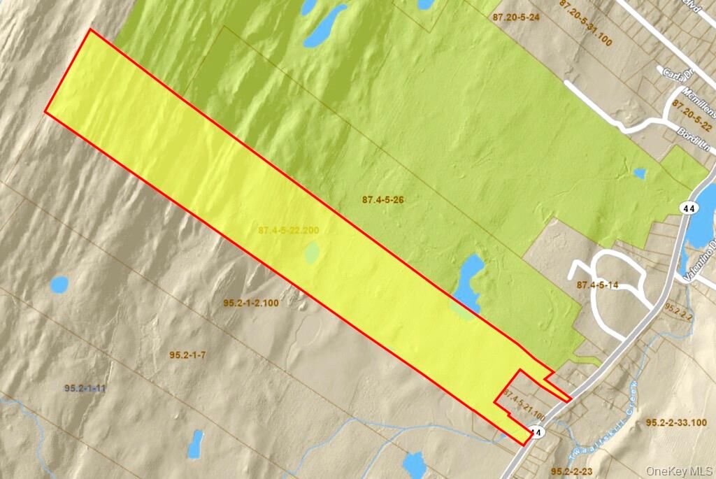 Property Photo:  00 Vineyard Avenue  NY 12528 