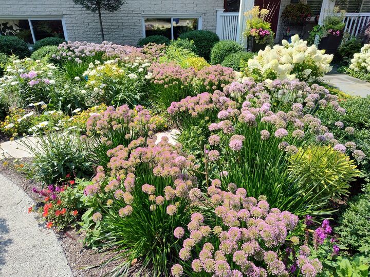 Property Photo:  321 Vine Street  IL 60091 