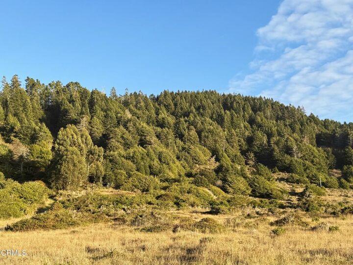 Property Photo:  40101 Ca-1  CA 95488 