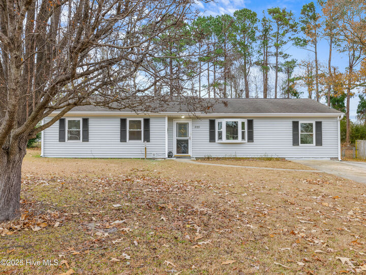 Property Photo:  203 Devon Court  NC 28546 