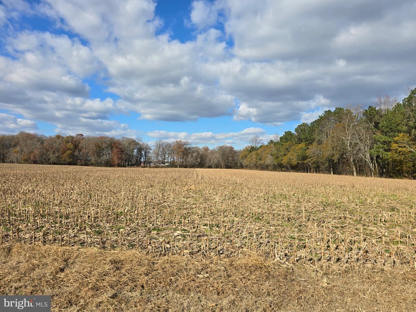 Property Photo: 0 Lot 2 Poplar Neck Road MD 21874