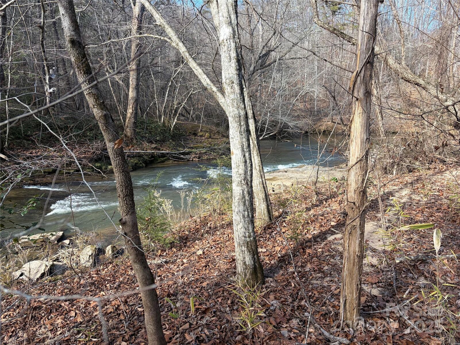 Property Photo:  Lot 49 Harmony Grove Road 49  NC 28761 