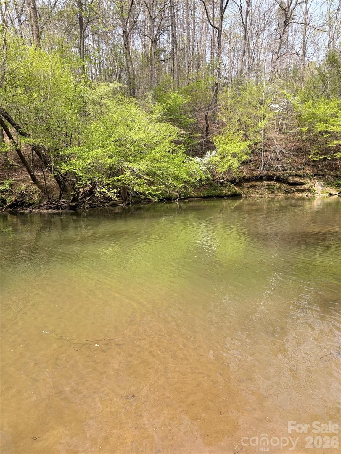 Property Photo:  Lot 49 Harmony Grove Road 49  NC 28761 