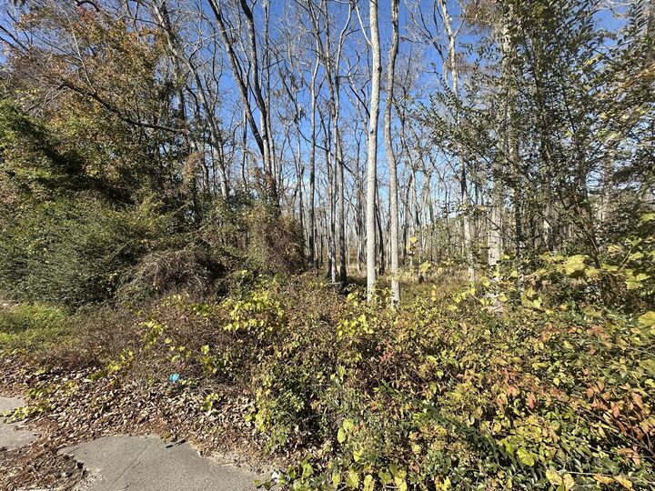 Property Photo:  00 Five Chop Road  SC 29047 