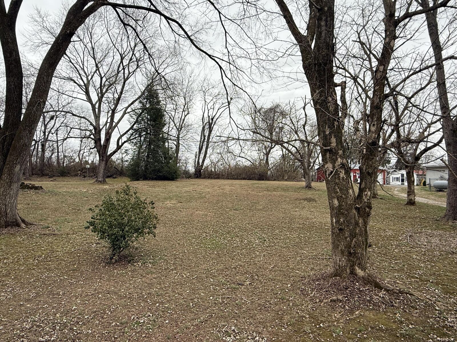 Property Photo: Lot 118-119 Oak Avenue KY 42501